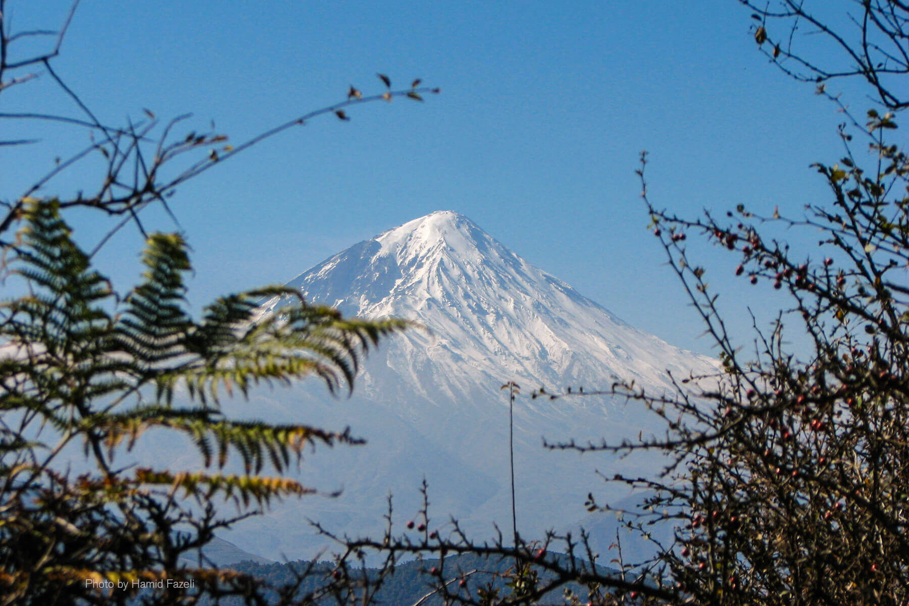 Damavand