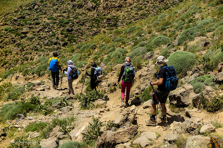 Climbing of Damavand